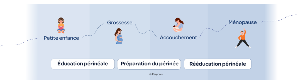 Frise chronologique de la vie de la femme. Rééducation du périnée et éducation du périnée : enfance, grossesse, accouchement, ménaupose
